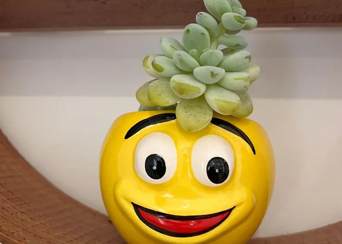 Casa Da Pitoquinha I *